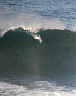 The Shot - enhanced by HH.  Nick Menas / The Cove - shot by Jerry Freer