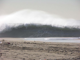 El Porto? Shot by Greg Deets