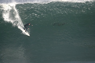 Photo by Hugh Berenger