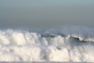 Photo by Hank Haldeman