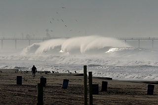 Photo by Hank Haldeman